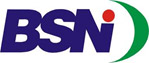 BSNI logo
